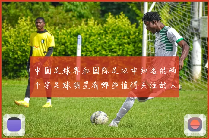 中国足球界和国际足坛中知名的两个字足球明星有哪些值得关注的人物