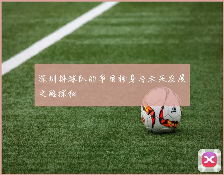 深圳排球队的华丽转身与未来发展之路探秘