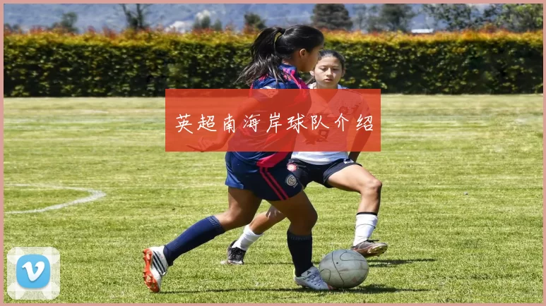 英超南海岸球队介绍