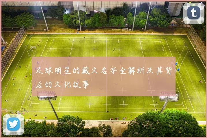 足球明星的藏文名字全解析及其背后的文化故事