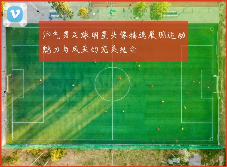 帅气男足球明星头像精选展现运动魅力与风采的完美结合