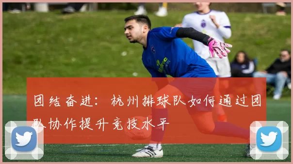 团结奋进：杭州排球队如何通过团队协作提升竞技水平