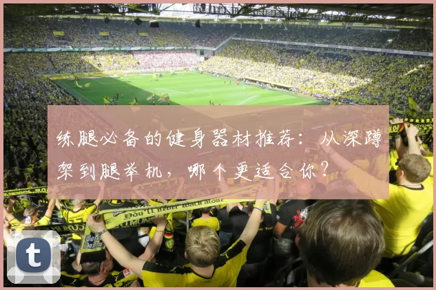 练腿必备的健身器材推荐：从深蹲架到腿举机，哪个更适合你？