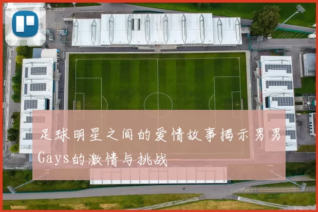 足球明星之间的爱情故事揭示男男Gays的激情与挑战