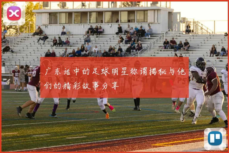 广东话中的足球明星称谓揭秘与他们的精彩故事分享