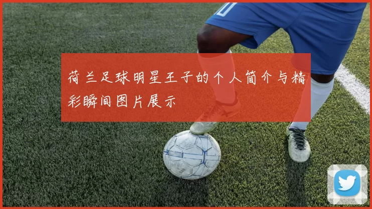 荷兰足球明星王子的个人简介与精彩瞬间图片展示