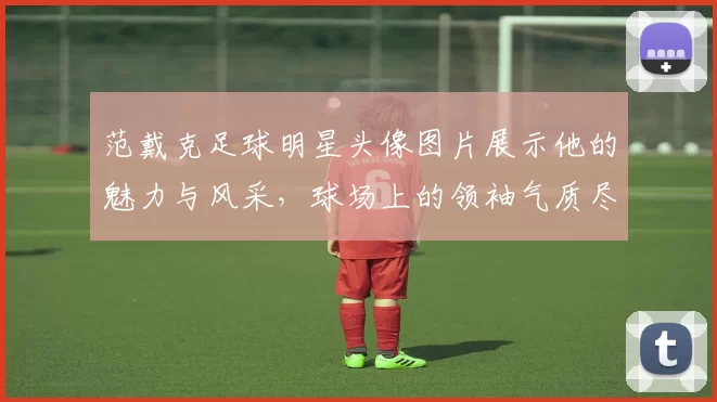 范戴克足球明星头像图片展示他的魅力与风采，球场上的领袖气质尽显无遗