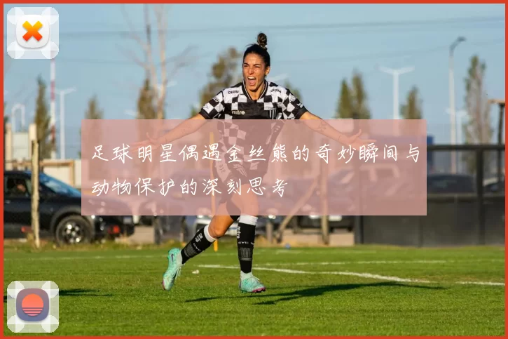 足球明星偶遇金丝熊的奇妙瞬间与动物保护的深刻思考