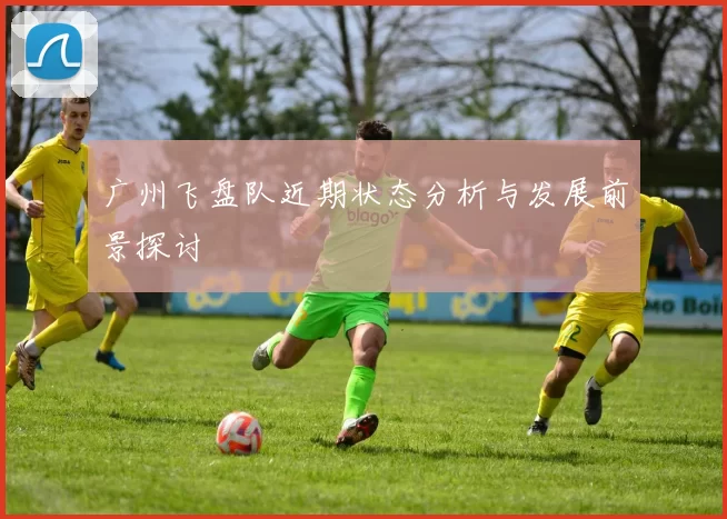 广州飞盘队近期状态分析与发展前景探讨
