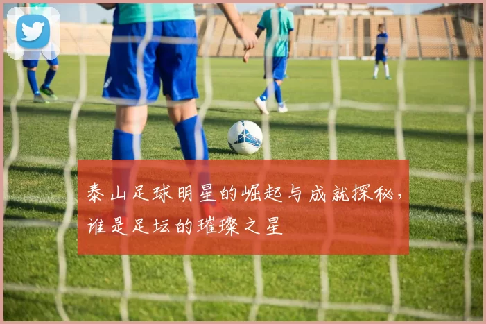 泰山足球明星的崛起与成就探秘，谁是足坛的璀璨之星