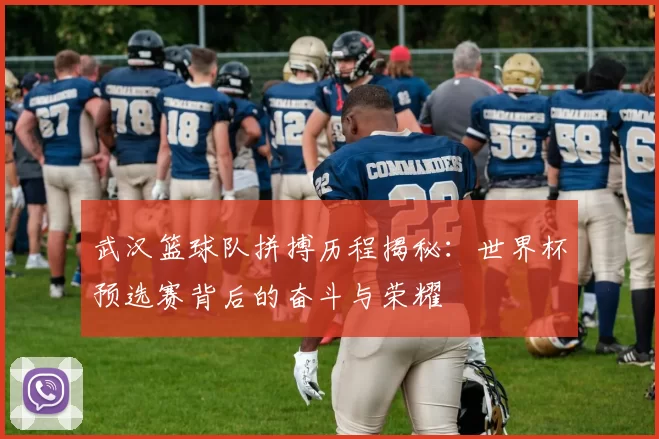 武汉篮球队拼搏历程揭秘：世界杯预选赛背后的奋斗与荣耀