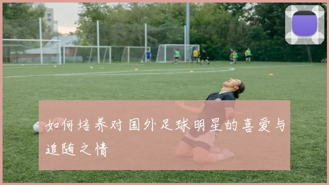 如何培养对国外足球明星的喜爱与追随之情