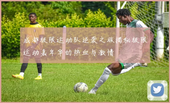 成都极限运动队逆袭之旅揭秘极限运动嘉年华的热血与激情