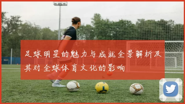 足球明星的魅力与成就全景解析及其对全球体育文化的影响