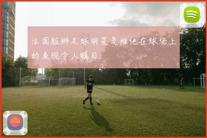 法国脏辫足球明星是谁他在球场上的表现令人瞩目