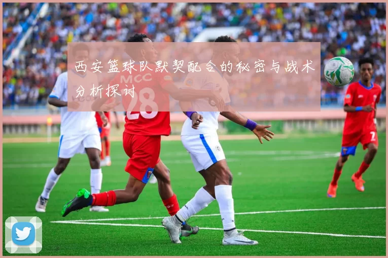 西安篮球队默契配合的秘密与战术分析探讨