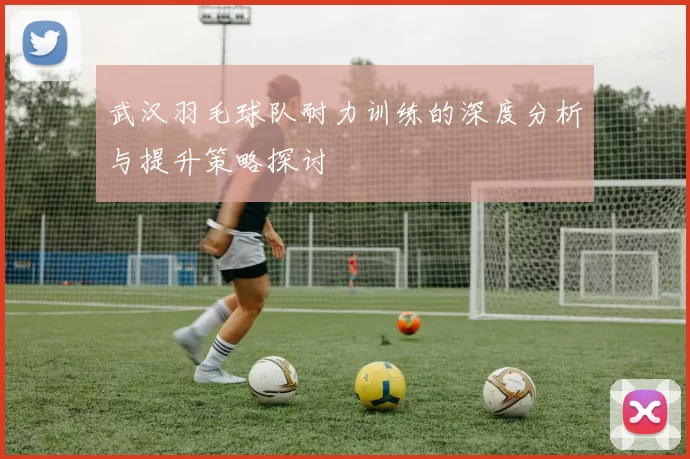 武汉羽毛球队耐力训练的深度分析与提升策略探讨