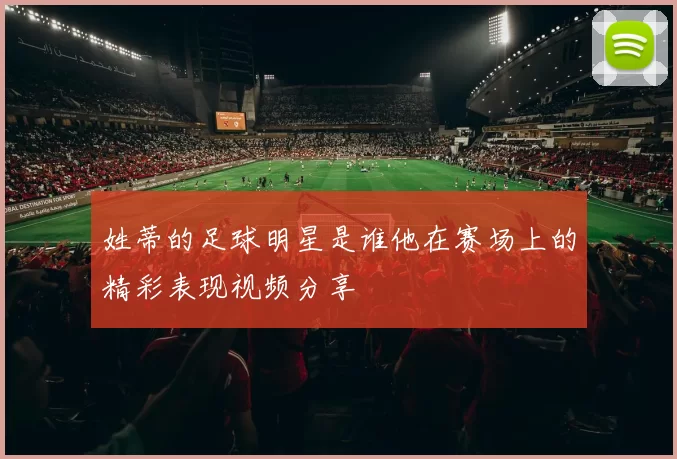 姓蒂的足球明星是谁他在赛场上的精彩表现视频分享