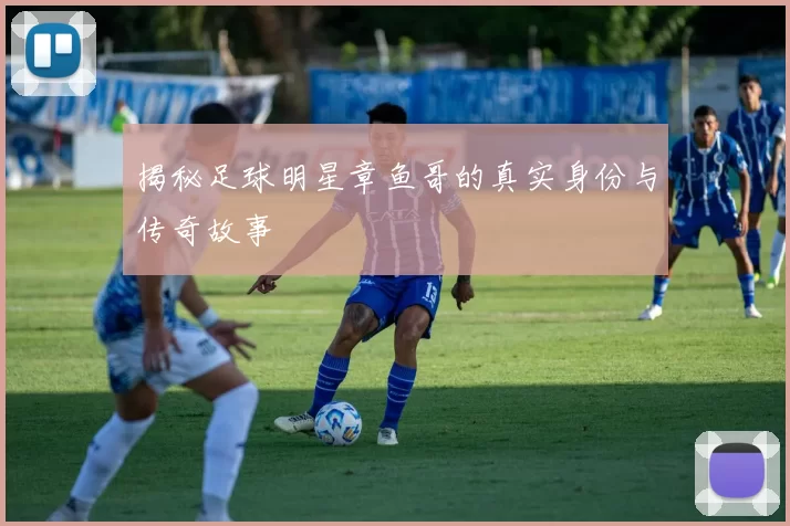 揭秘足球明星章鱼哥的真实身份与传奇故事